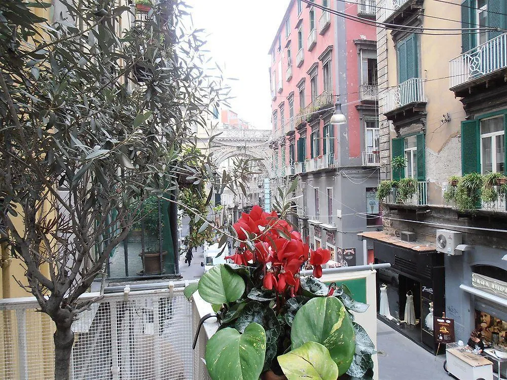 Bed & Breakfast Plebiscito Home Νάπολη