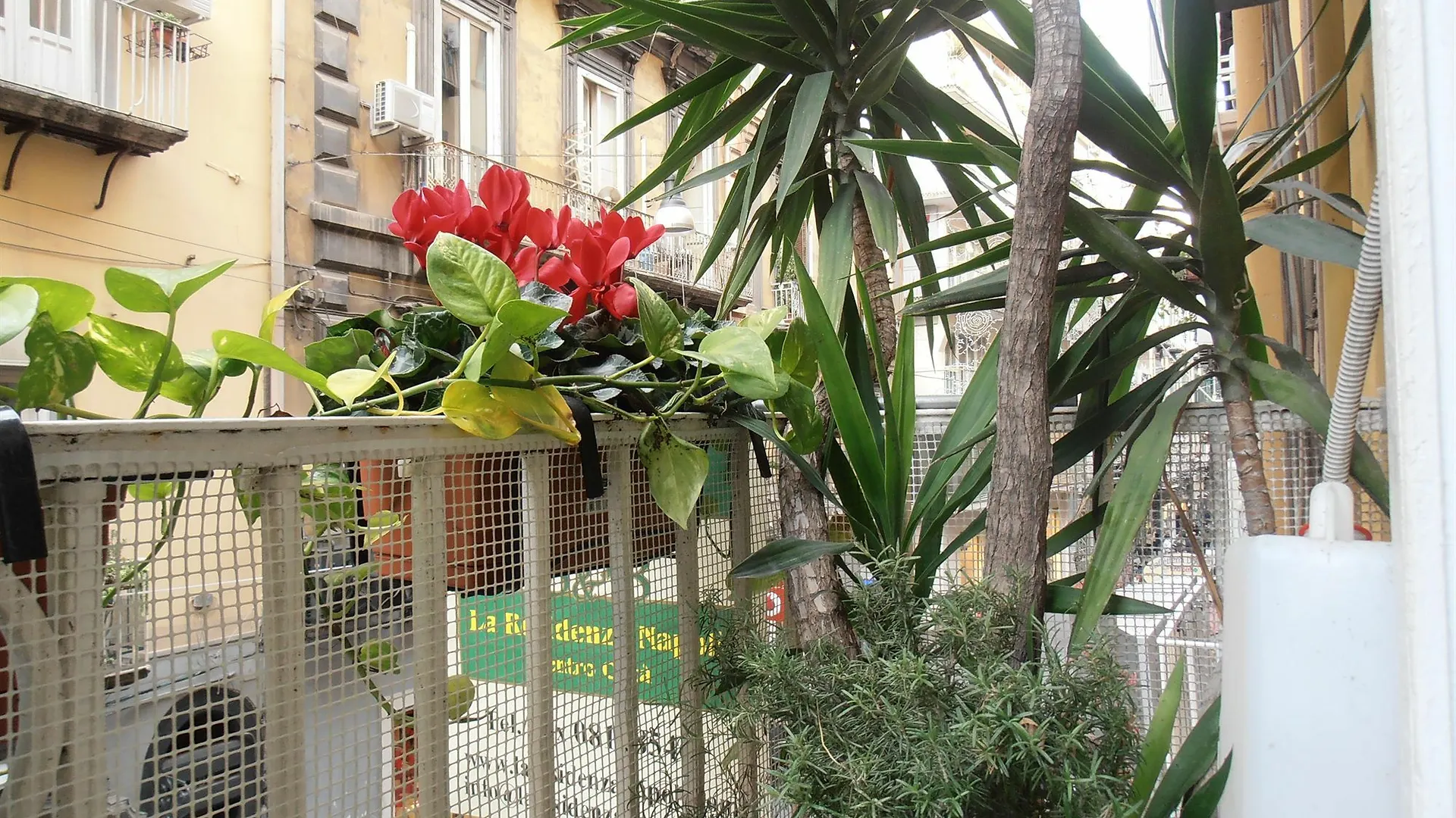 Bed & Breakfast Plebiscito Home Νάπολη