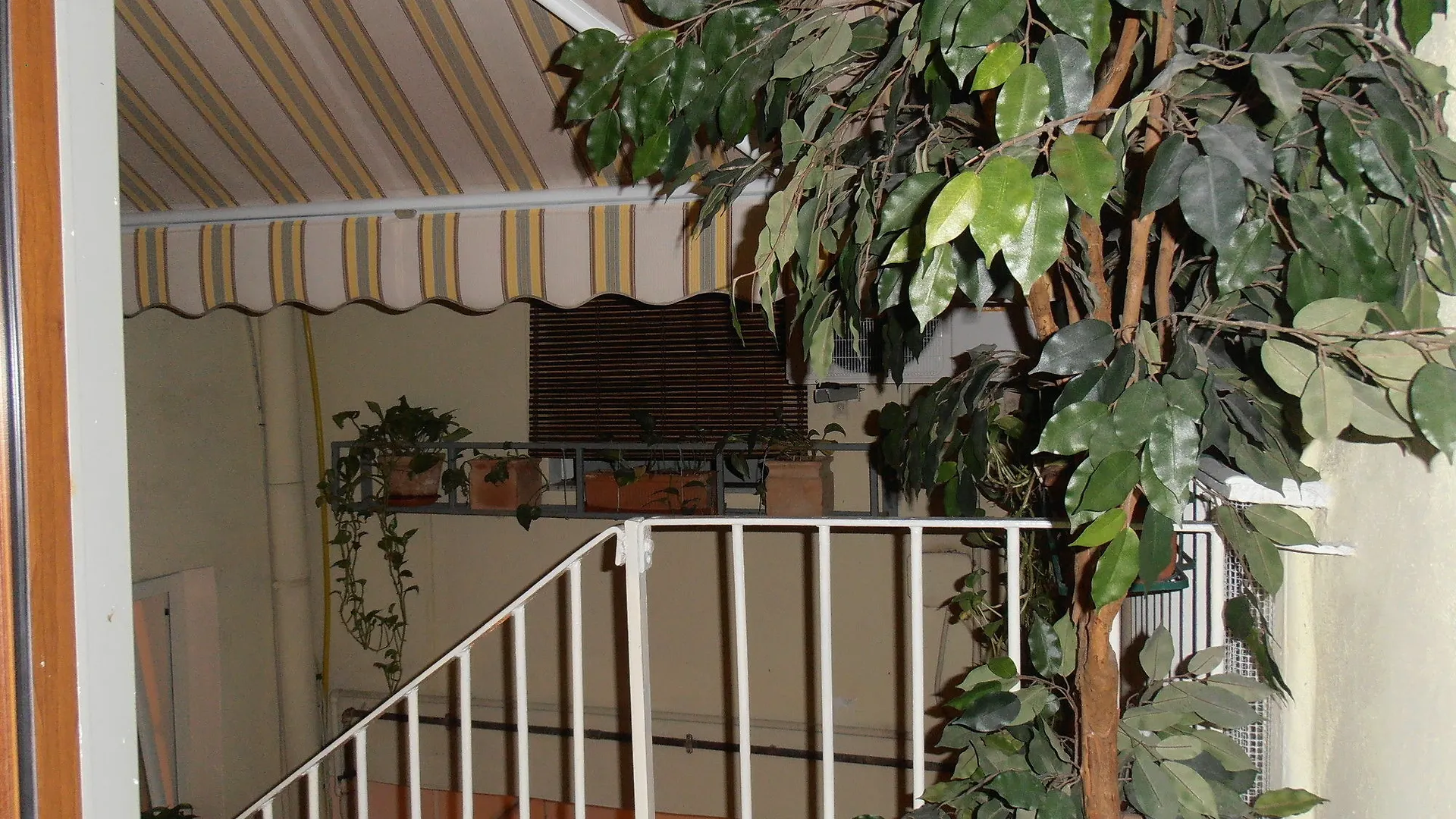 Bed & Breakfast Plebiscito Home Νάπολη 3*,